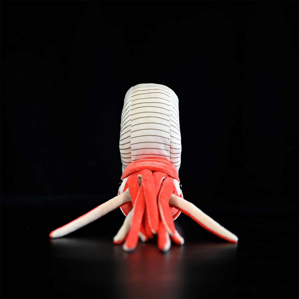 Nautilus Stofftier