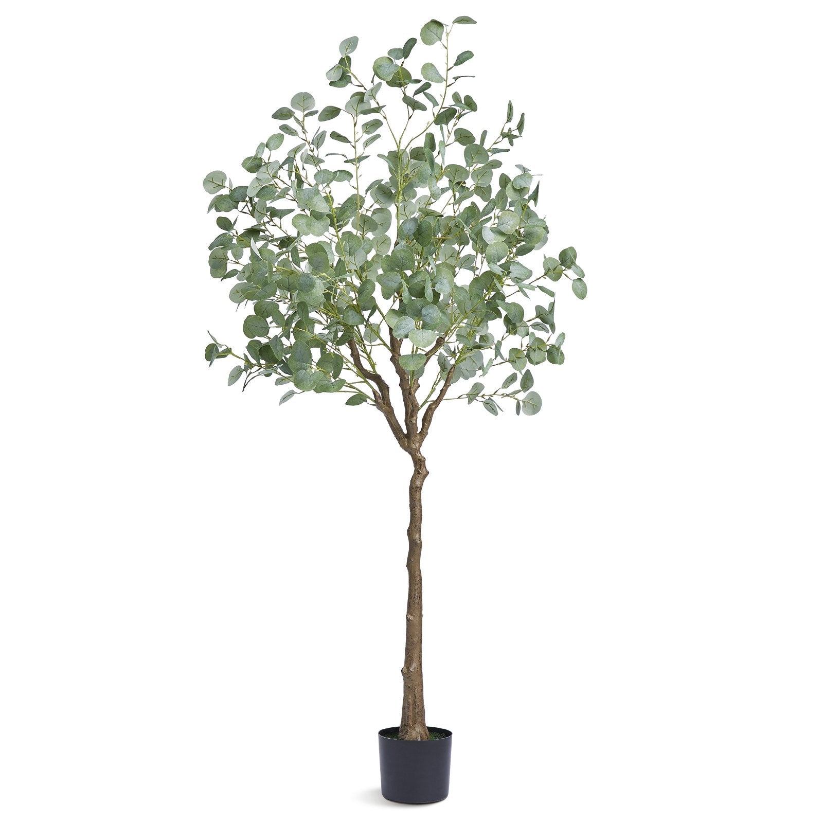Eukalyptus 80x80x181cm Kunstpflanze