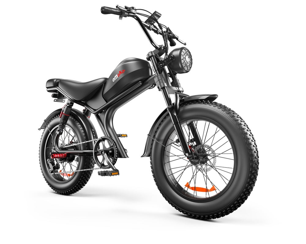 C93 Single Drive 20 Zoll, Hochgeschwindigkeits-Elektrofahrrad