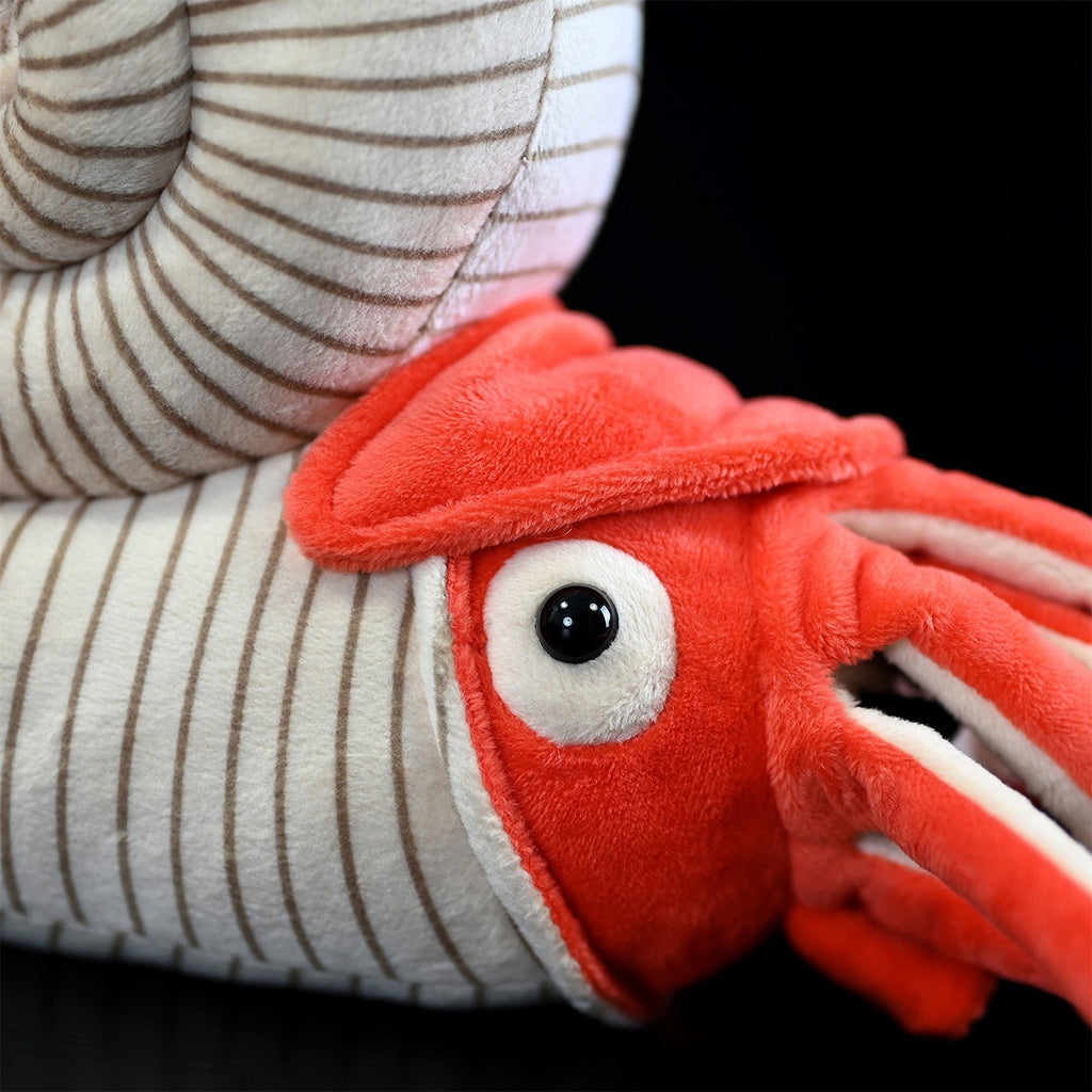 Nautilus Stofftier