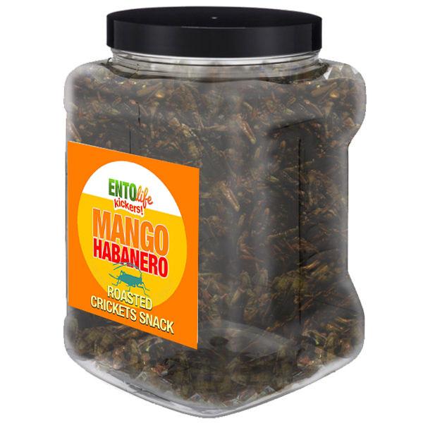 Habanero Mango-Grillensnack – Pfundgröße