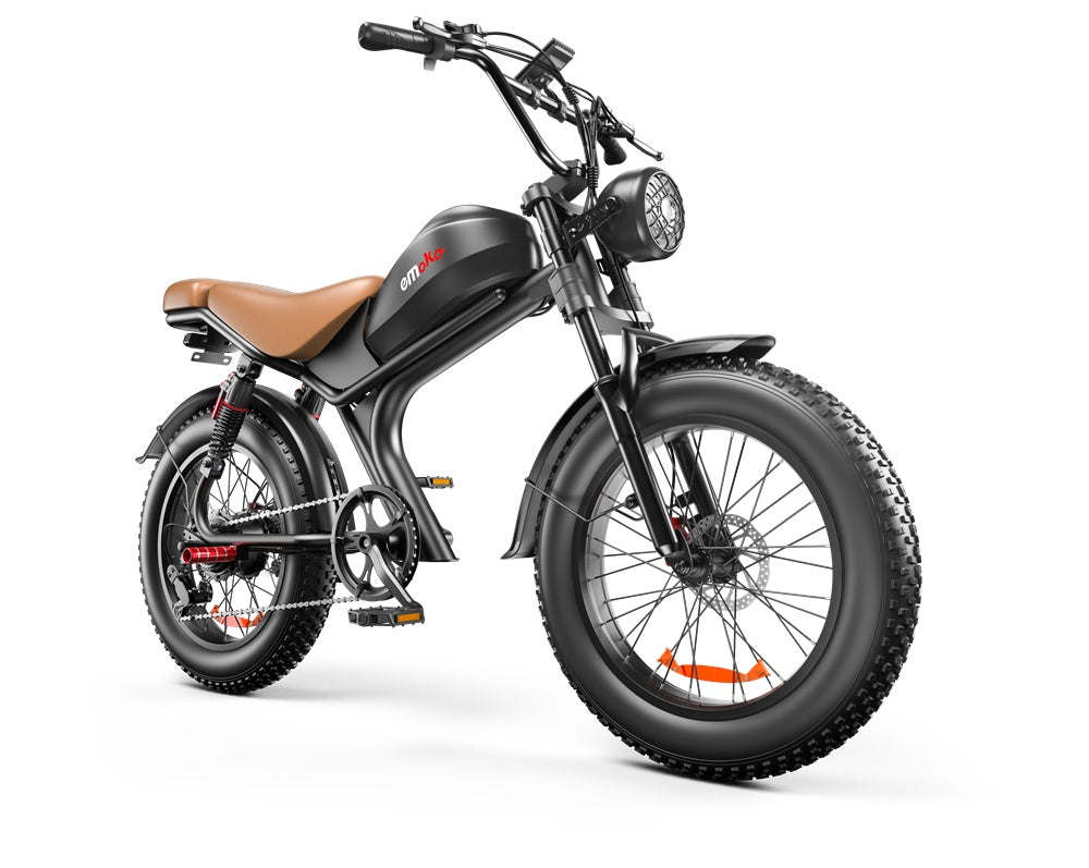 C93 Single Drive 20 Zoll, Hochgeschwindigkeits-Elektrofahrrad